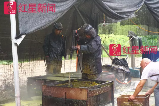 文玩核桃遇冷由幾萬一對降到5元沒人要？商戶否認