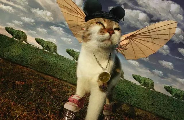 一只虛擬寵物貓叫價13億元？云養(yǎng)貓成真