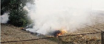 鄭州深陷“霾”伏   都是燒秸稈惹的禍？