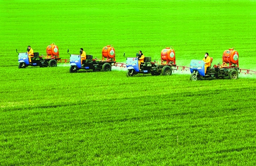 車載噴霧機(jī)奔駛在萬(wàn)畝高產(chǎn)田里。