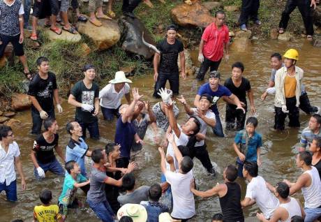 廣西舉辦鬧魚節(jié) 上萬人水塘抓魚 廣西舉辦鬧魚節(jié) 上萬人水塘抓魚