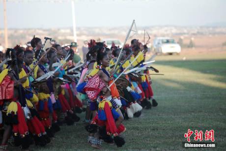 斯威士蘭蘆葦節(jié)開選秀女 斯威士蘭蘆葦節(jié)開選秀女
