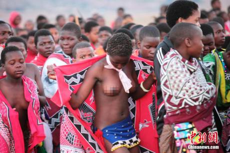 斯威士蘭蘆葦節(jié)開選秀女 斯威士蘭蘆葦節(jié)開選秀女