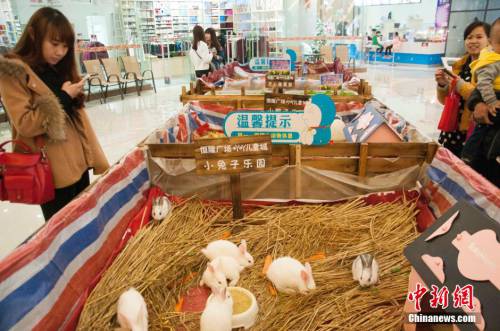 廣西多家商場在大廳圈養(yǎng)動物招攬顧客 廣西多家商場在大廳圈養(yǎng)動物招攬顧客