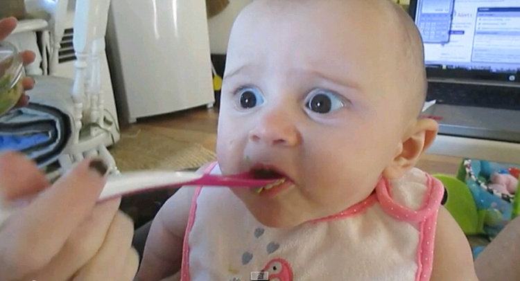 外國寶寶初嘗鱷梨表情萌翻網(wǎng)友 外國寶寶初嘗鱷梨表情萌翻網(wǎng)友