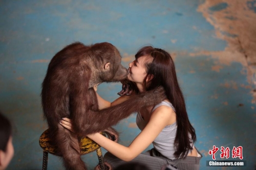 學(xué)生參加?；ㄐ２荽筚?穿比基尼秀身材