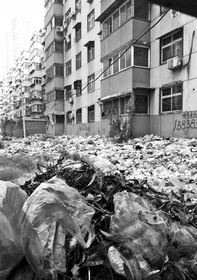 透過擋板縫向內(nèi)看，30多米垃圾已經(jīng)將居民樓包圍。