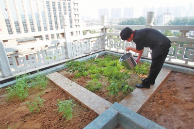 鄭州某酒店在樓頂打造的菜園子，服務員正在澆水。