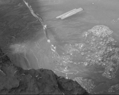 菜葉隨水流進(jìn)河 菜葉隨水流進(jìn)河