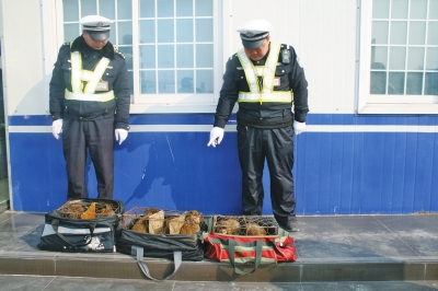 民警查獲的乘客行李包中，裝的全是獼猴。