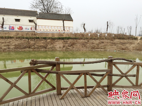 護欄損毀的地方，已經(jīng)被兩根樹干擋住。