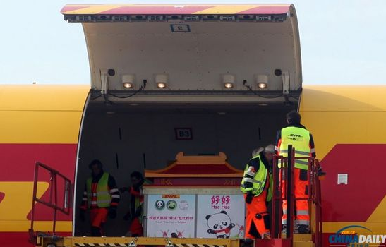 大熊貓“好好”抵達布魯薩爾國際機場。記者 付敬 攝