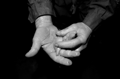 圖為科考人員發(fā)現的洞穴動物（3月2日攝）。