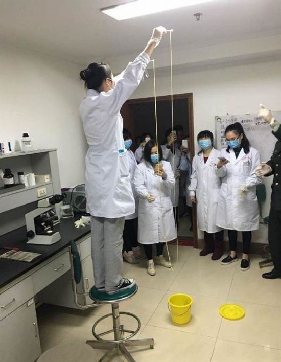 愛(ài)吃生肉惹的禍！男子體內(nèi)取出5米長(zhǎng)寄生蟲(chóng)(圖)