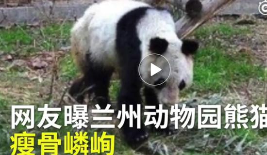 視頻截圖 視頻截圖