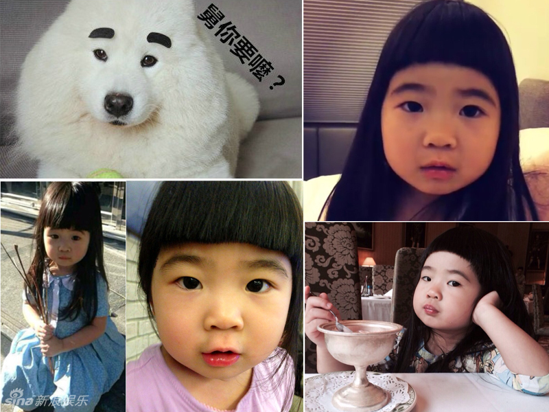 不小心就撞臉了！盤點動物界的明星相