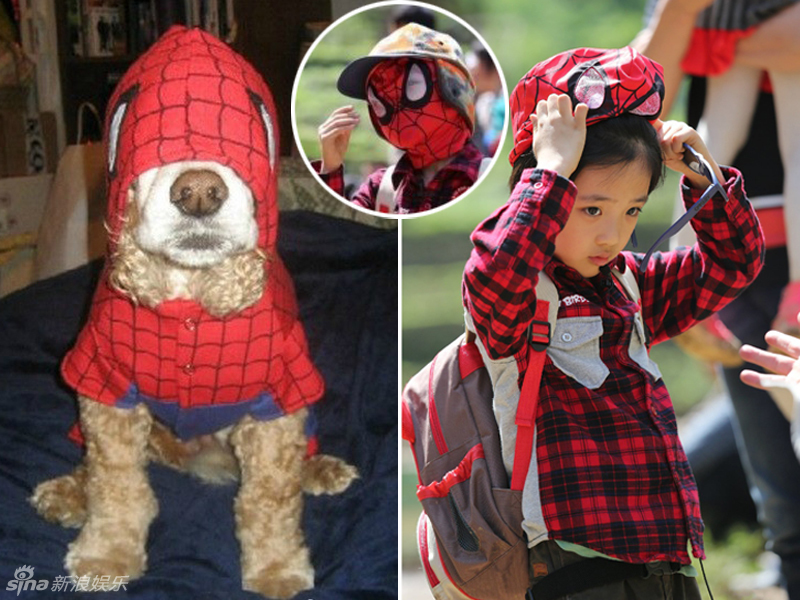 不小心就撞臉了！盤點動物界的明星相