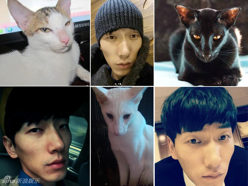 不小心就撞臉了！盤點動物界的明星相