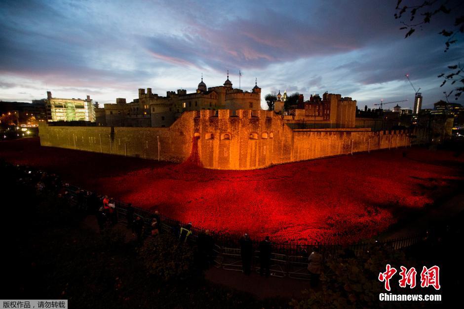 當(dāng)?shù)貢r(shí)間2014年11月10日，英國倫敦，倫敦塔周邊“種植”了888246朵陶瓷材質(zhì)的罌粟花，以此紀(jì)