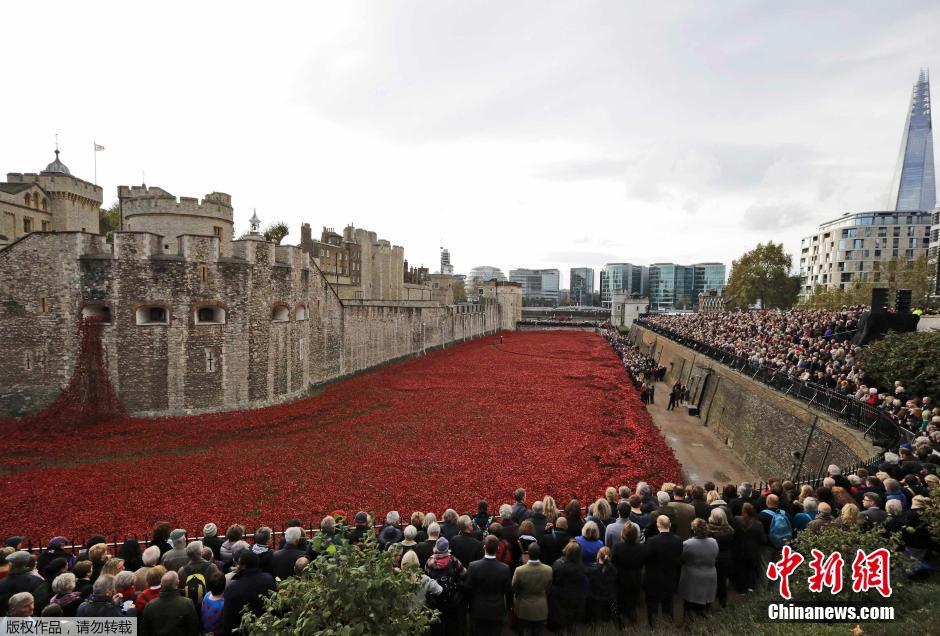 當(dāng)?shù)貢r(shí)間2014年11月10日，英國倫敦，倫敦塔周邊“種植”了888246朵陶瓷材質(zhì)的罌粟花，以此紀(jì)