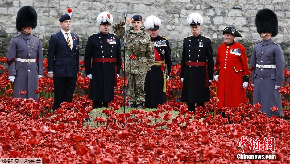 當(dāng)?shù)貢r(shí)間2014年11月10日，英國倫敦，倫敦塔周邊“種植”了888246朵陶瓷材質(zhì)的罌粟花，以此紀(jì)