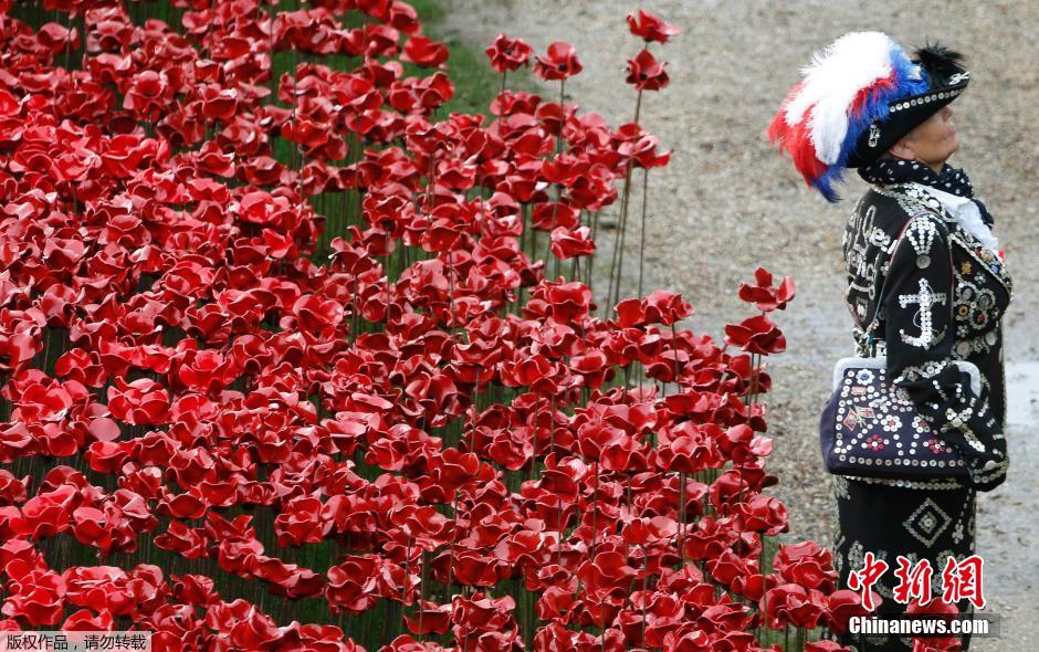 當(dāng)?shù)貢r(shí)間2014年11月10日，英國倫敦，倫敦塔周邊“種植”了888246朵陶瓷材質(zhì)的罌粟花，以此紀(jì)