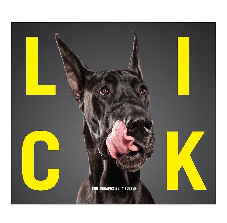 狗狗舔鼻拍照盡顯呆萌 令人捧腹 狗狗舔鼻拍照盡顯呆萌 令人捧腹