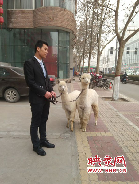 網(wǎng)絡神獸現(xiàn)身中原路 網(wǎng)絡神獸現(xiàn)身中原路