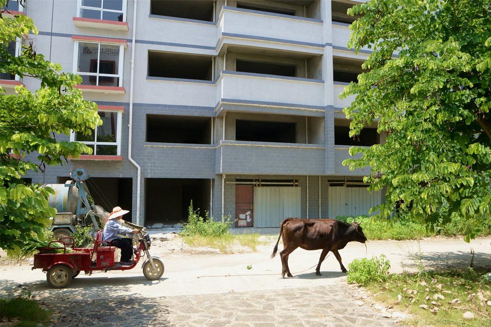 2016年7月26日，村民在廣西來(lái)賓市忻城縣隆達(dá)山水福城荒廢別墅間放牛。