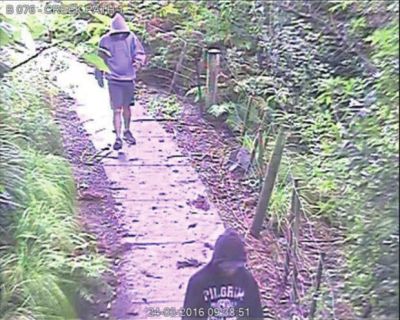 中國(guó)留學(xué)生新西蘭頻遭襲擊 警方被斥不作為 中國(guó)留學(xué)生新西蘭頻遭襲擊 警方被斥不作為