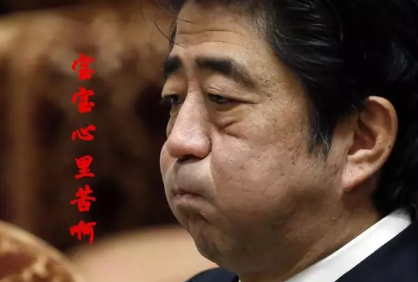 這種看安倍“熱鬧”的事兒，環(huán)環(huán)絕不私藏，一定雨露均沾!
