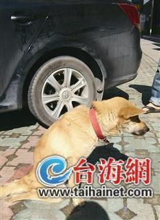 事發(fā)現(xiàn)場(chǎng) 事發(fā)現(xiàn)場(chǎng)