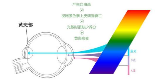 真能亮瞎眼？如何減少手機(jī)對(duì)眼睛的傷害