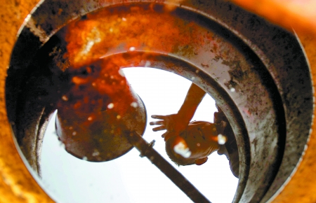 記錄地溝油的“前世今生” 記錄地溝油的“前世今生”