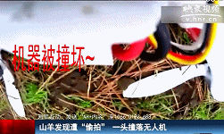 山羊發(fā)現(xiàn)遭“偷拍” 一頭撞落無(wú)人機(jī)