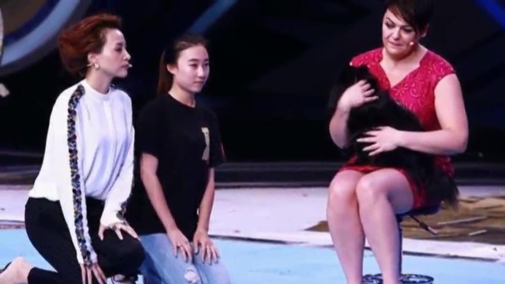 又當(dāng)托？ 董卿節(jié)目現(xiàn)場當(dāng)眾對狗下跪稱被催眠