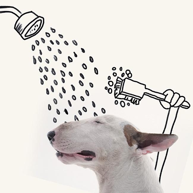 寵物狗與白墻涂鴉:巴西離婚男子神創(chuàng)作爆紅